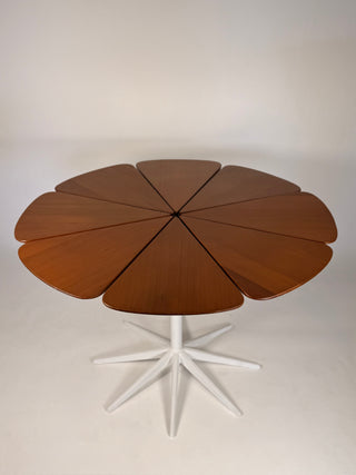 Richard Schultz Redwood Petal Dining Table for Knoll Circa 1960s