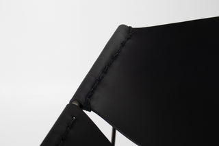 Pierre Paulin Butterfly Chair