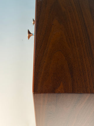 George Nelson Thin Edge 10-Drawer Dresser in Walnut for Herman Miller, Circa. 1950s