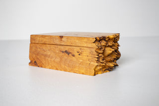Michael Elkan Studio handcrafted burl wood lidded box with dramatic live edge end, smooth figured burl faces, vintage studio craft